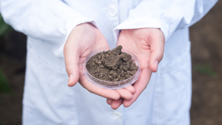 Загрязнение почвы